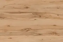 Beech Crenata R24096 VV