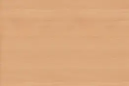 Global Beech 4306-60